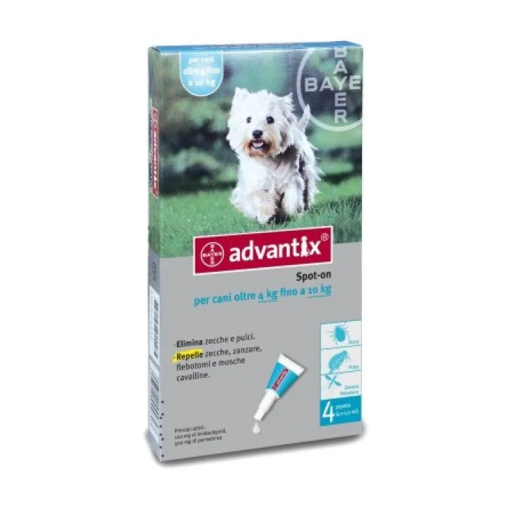 epharmacy1569701
