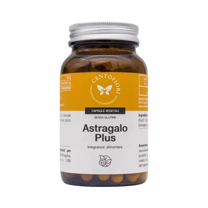 epharmacy1703648