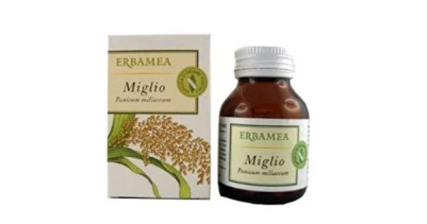 farma-web1204131
