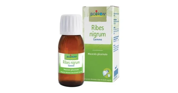 farma-web1244481