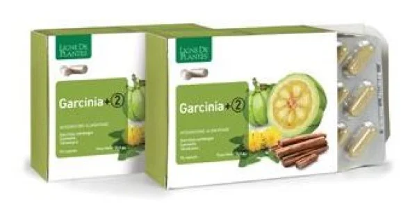 farmaciagaudiana1764560