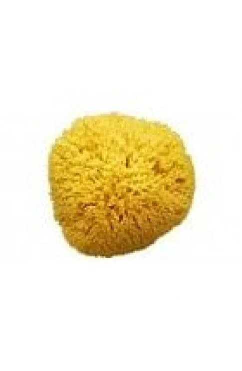 farmahome1550842