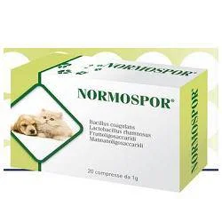 lovesano-11232334