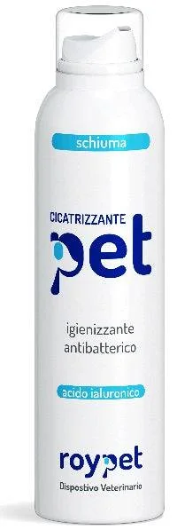 lovesano-11336596