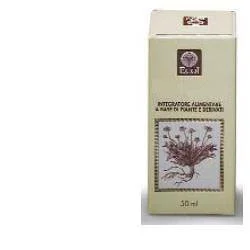 lovesano-11347160