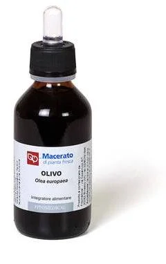 lovesano-11363765