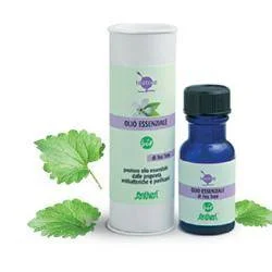 lovesano-21203303