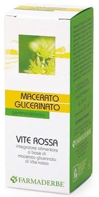 lovesano-21239223