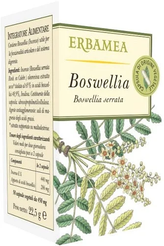 lovesano-21356798
