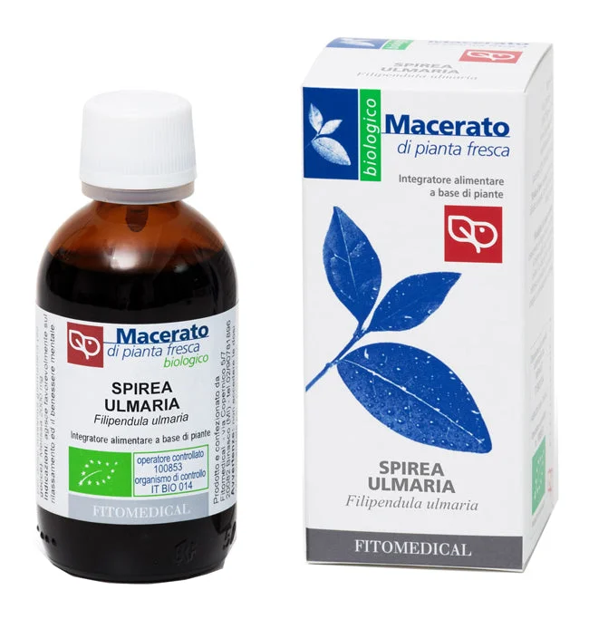 lovesano-21405247