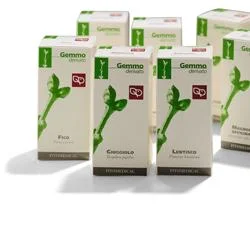 lovesano-21472048