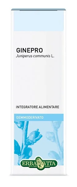 lovesano-31281545