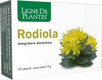 lovesano1117235