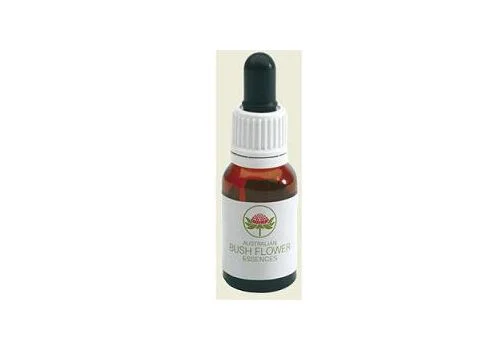 pharmasi-11204159