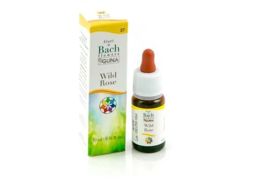 pharmasi-11240249