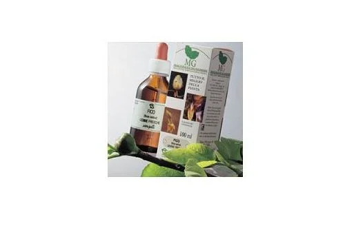 pharmasi-11472985