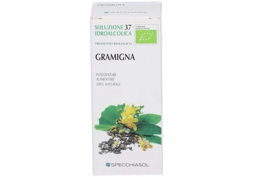 pharmasi1183559