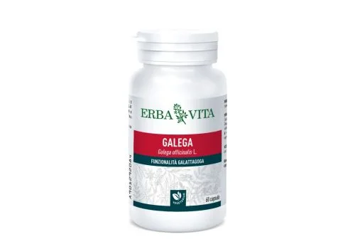 pharmasi1352868
